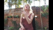 Pregled videozapisa
