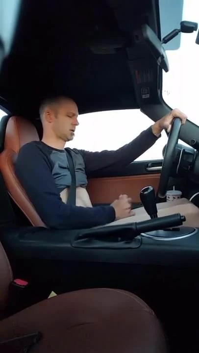 Stroking & Licking in the car