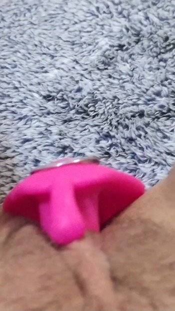 Pregled videozapisa