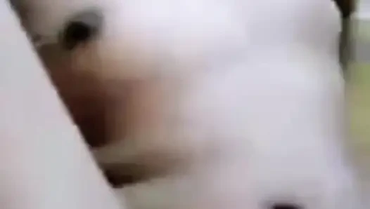 A video call with a friend's wife even naked makes me masturbate part2