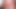 ビキニが多すぎるかと尋ねる白人の女の子？