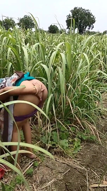 Must-see moment from "Komal fuck by Malik while working in the field"