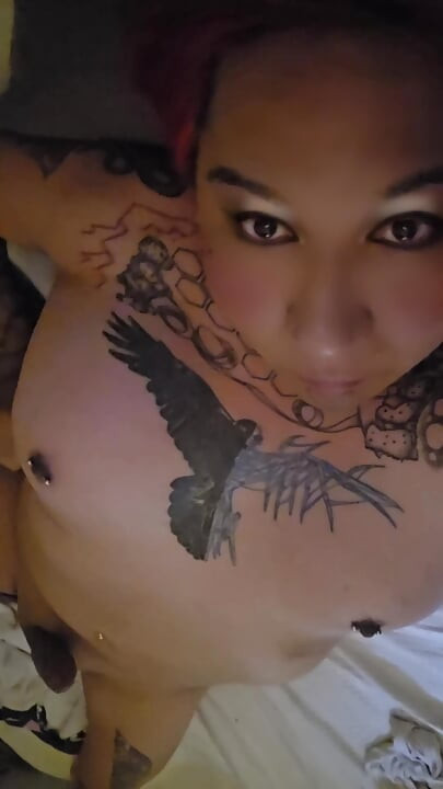 Hi gents SHEMALE HORNY COCK