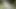 SUN FOREST HOT ASIAN INDIAN 18old BABE SUCKS DICK AND GETS OUTDOOR FUCK