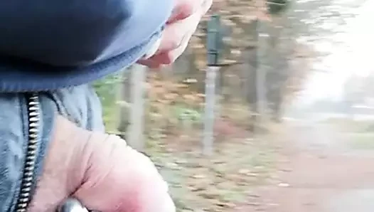 Ausflug in den nahen Wald