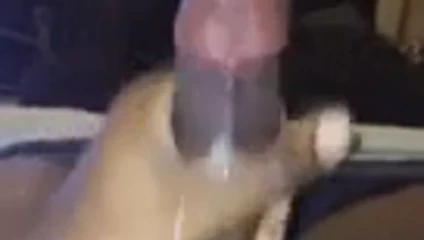 cumming sert