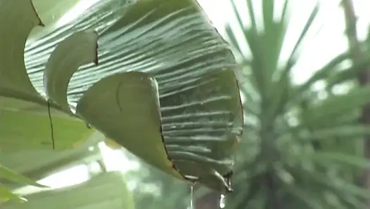 Милфу в нижнем белье трахнули пальцами до текущего мокрого оргазма