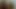 Indian Porn