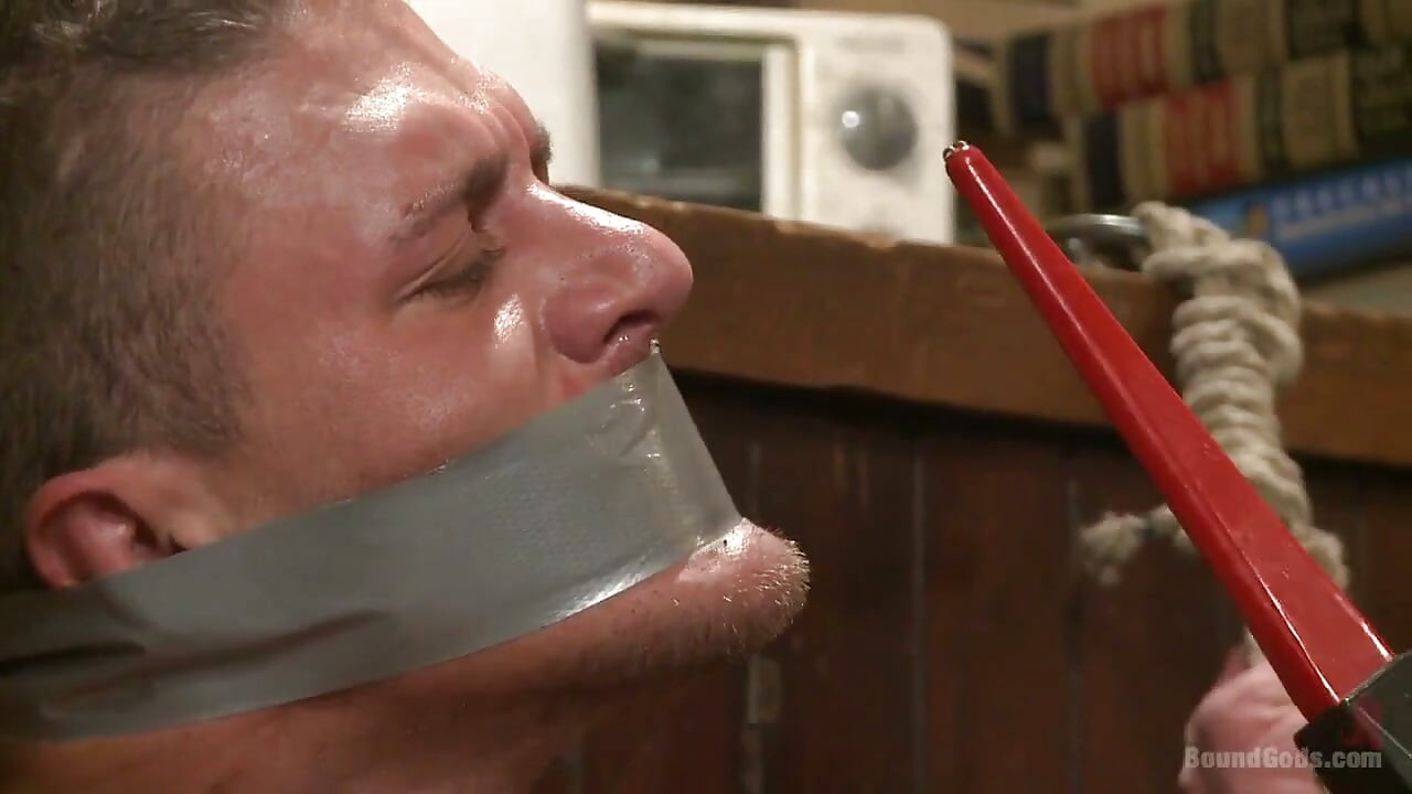 Alexander Gustavo的噩梦