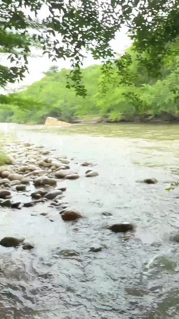 SEXE EN PLEIN AIR. Je profite du fait que la femme de mon meilleur ami est une pute pour la baiser pendant que nous sommes au bord du lac. | Clip 1