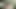 ポークベンダーズ - BBWのリンリンさんが赤いランジェリー姿でからかう中、ティム・ヴォン・スワインが彼女のジューシーなアソコを激しく突く
