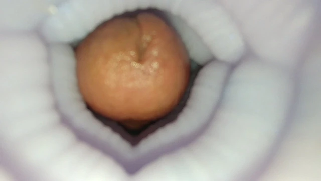 Cumming inside bad dragon's Nix