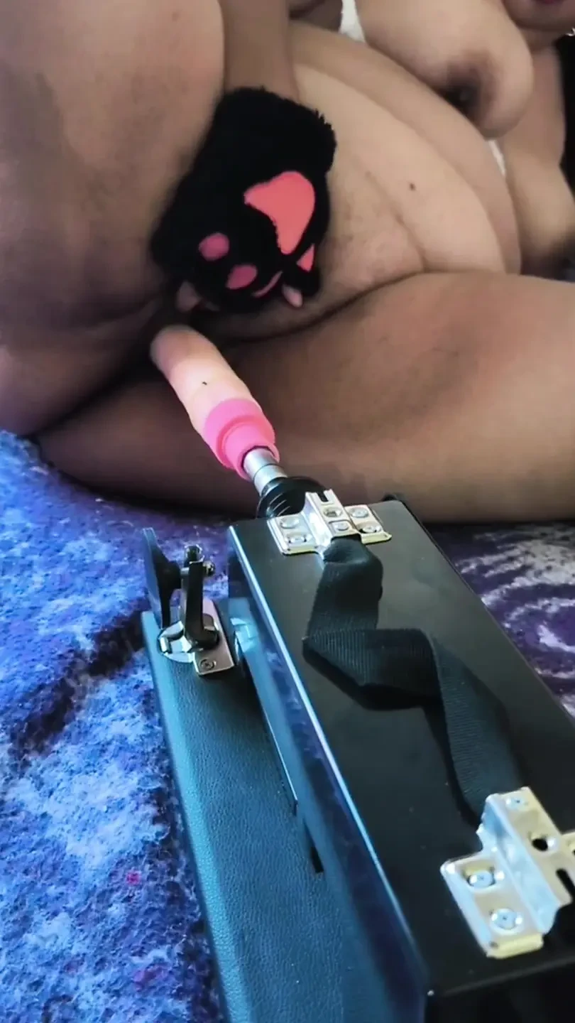 Kitten is forced to have multiple orgasms