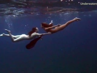 水下特内里费岛的海上冒险