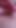 Stunning moment from "Petite Japanese Teen 18 at Uncensored JAV Amateur POV Creampie Defloration Sex"