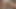 Asiansexdiary Amazing Rack アジア人は彼女のすべてのトリックを使用します