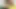 Compilation of blowjobs to my beautiful stepsister - Porno en Español
