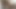 Cuckold Secrets - my wife sucking black bull fo her B-day