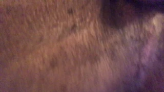 Otobüste video