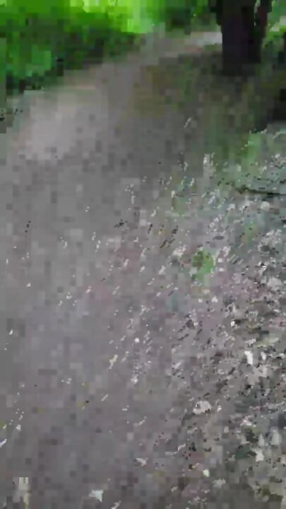 Balade Dans Les Bois Pour La Victoire Du Psg, Qui Se Termine a Sucer Un Voyeur 1jui25 Vanessabitchx