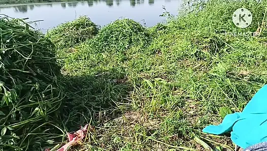 fucked my sister-in-law in doggy style in a mustard field on the ganga  bank.