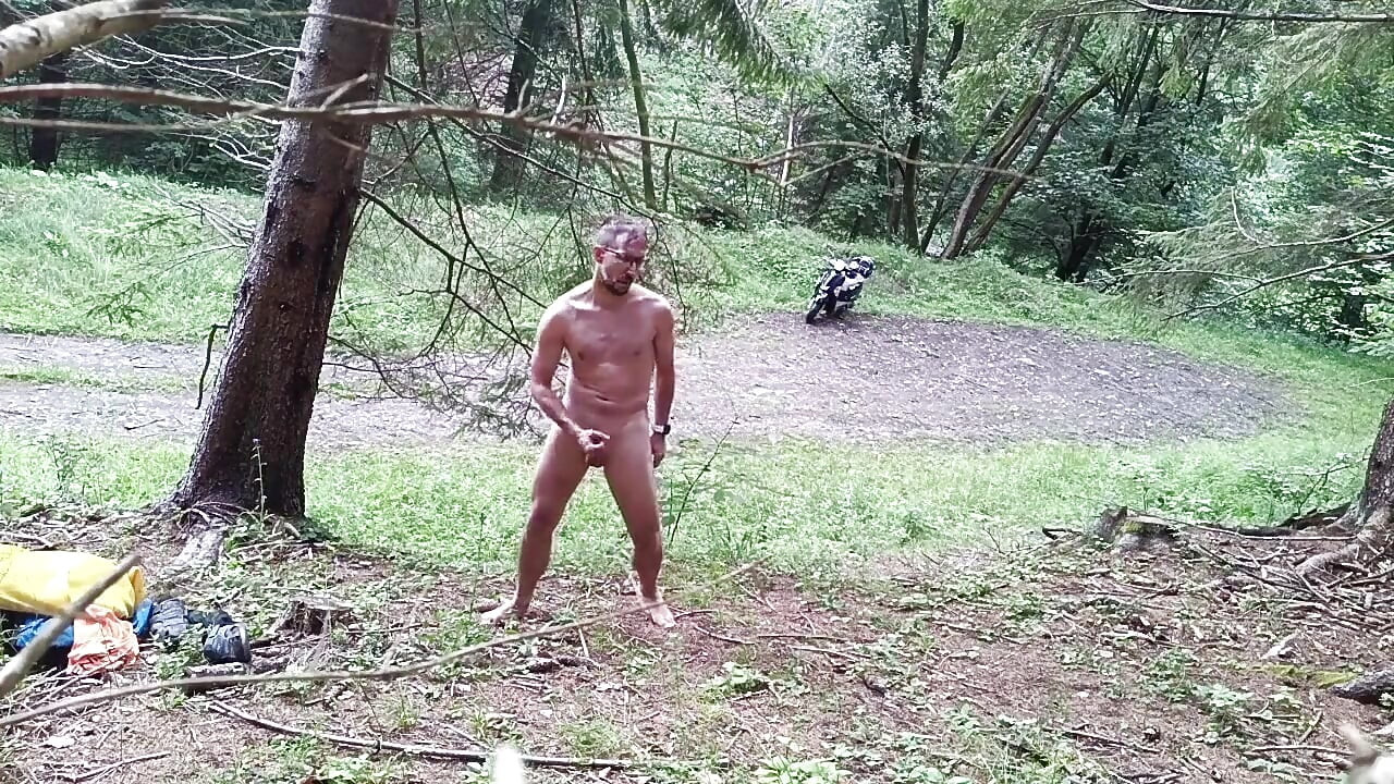 Wild Slovak Nature