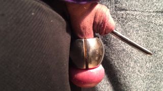 10mm 阴茎探查和球伸展