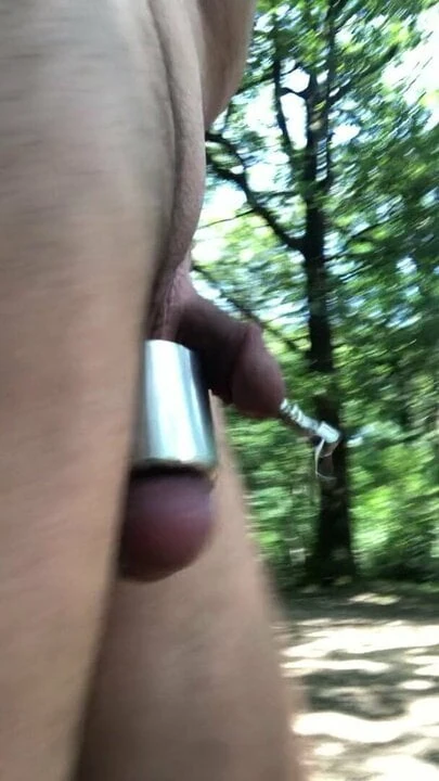 Walk in the woods