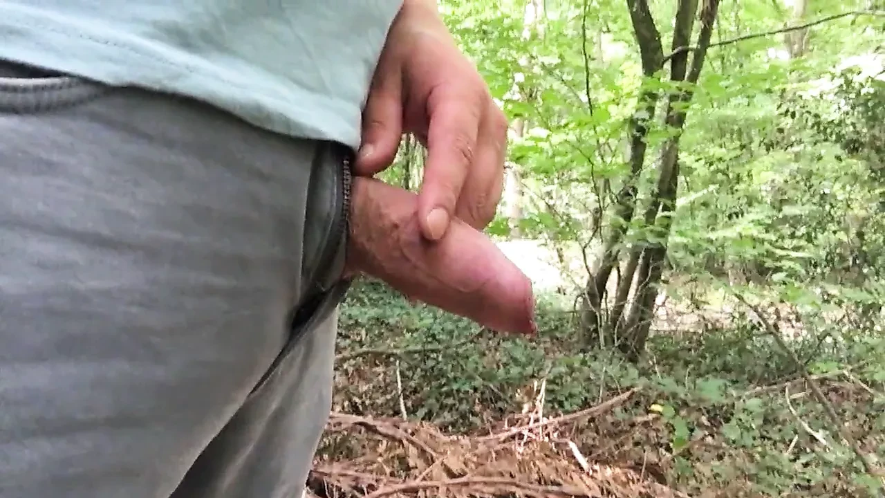 必须在森林里撒尿