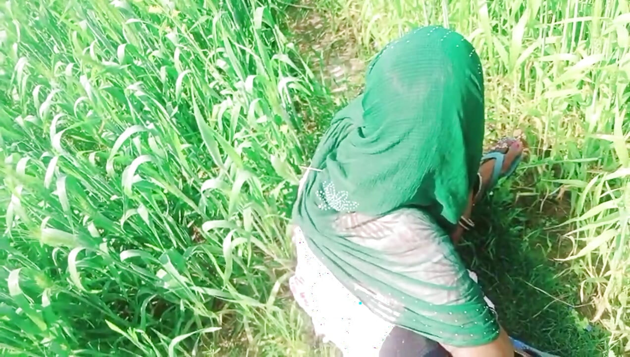 Seoska Bhabhi seksi video u pšeničnim poljima