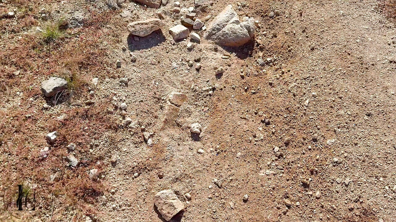 Casal ébano caminhando no ar fresco e estrelas pornô