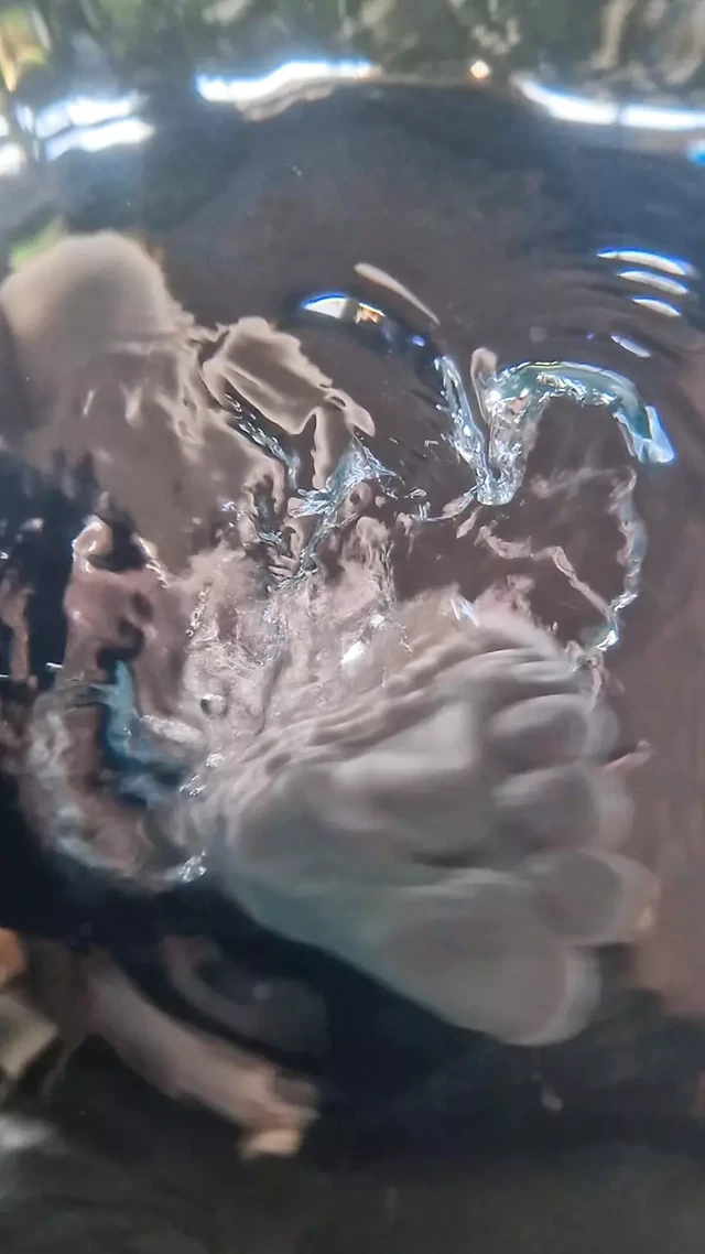 Cool off - Teen strips naked in swimming pool, underwater cam