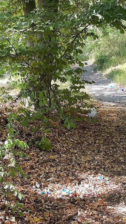 Eu estava dando uma caminhada tranquila e encontrei um PAU GRANDE