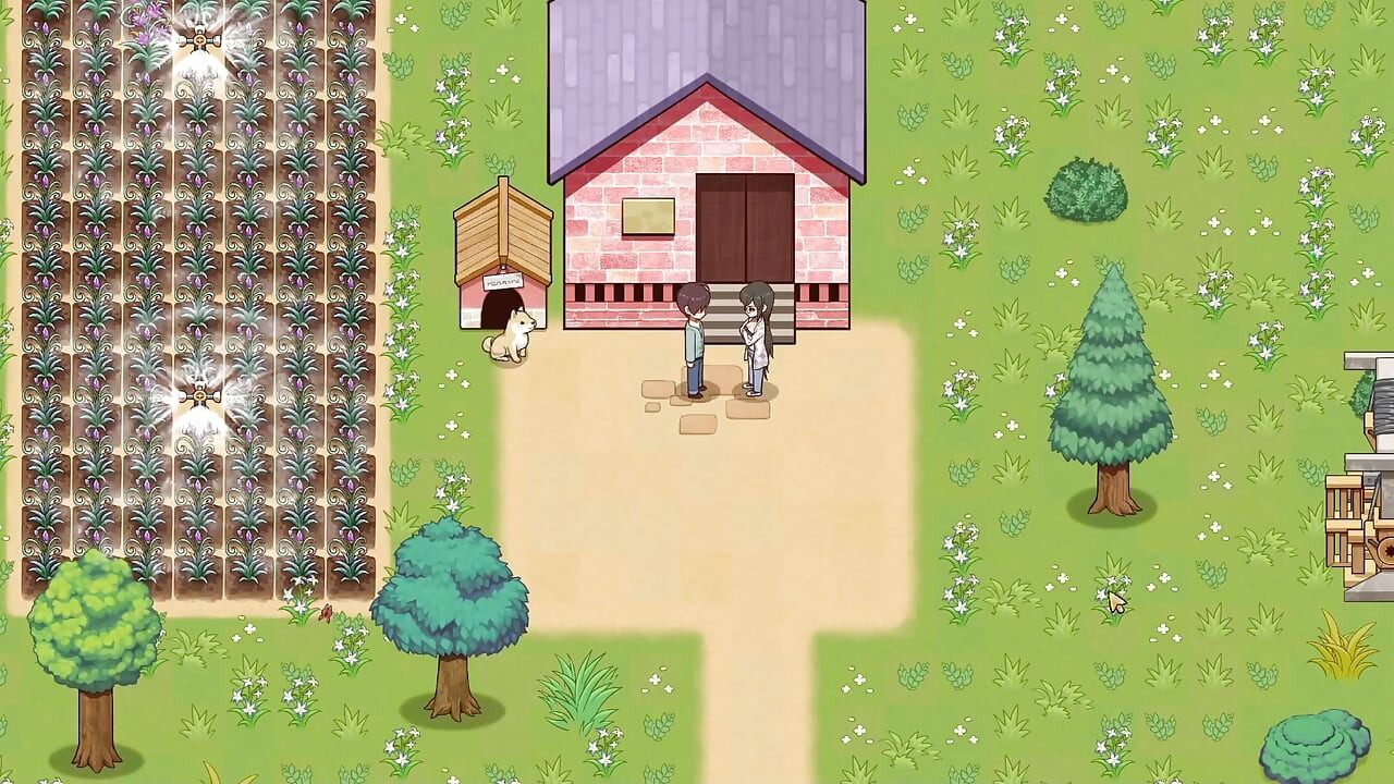 Rhapsodie Du Village - Orgie Dans Le Village