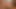 ベラ・ドンナを知っていますか？