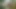 Hint en iyi no.2