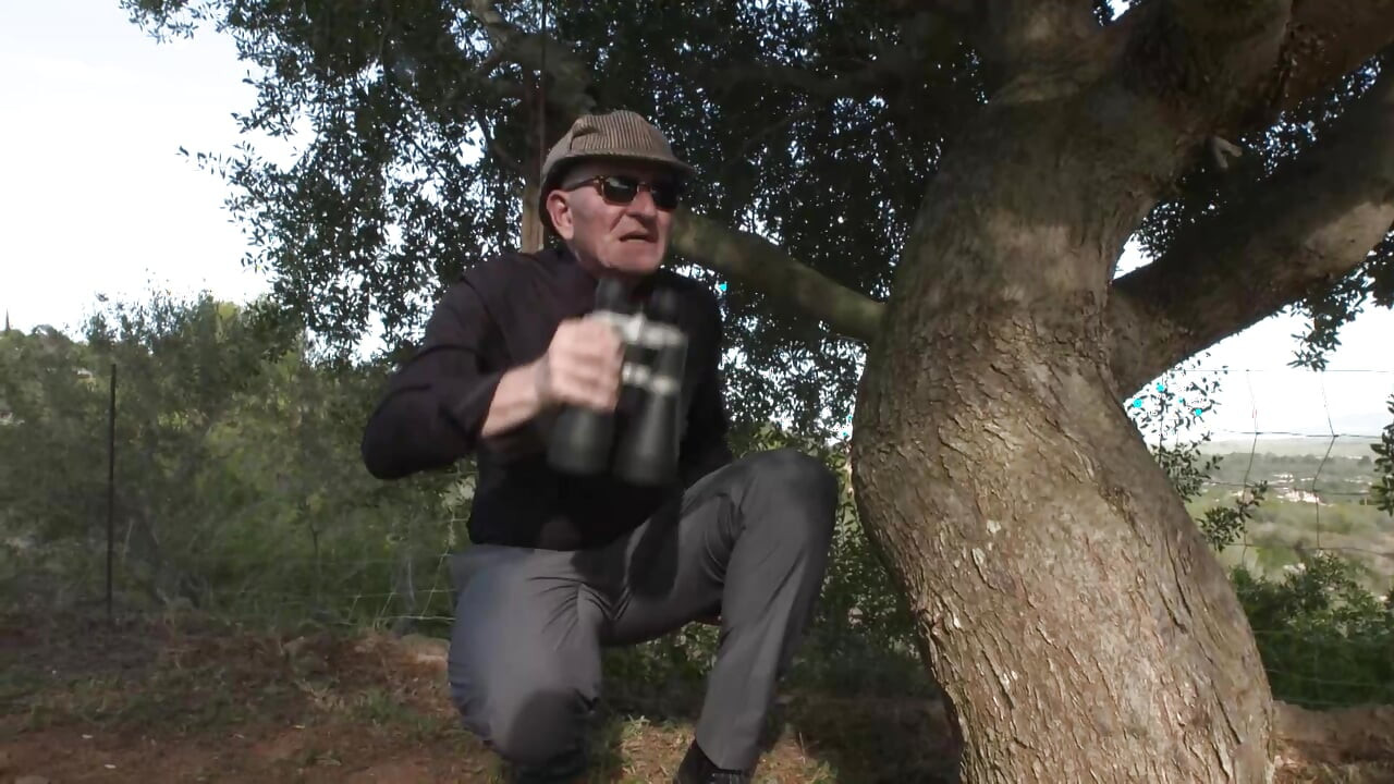 Tổng hợp, với chuyến tham quan đụ