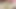 ウェブカメラでフィスティングするラティーナ
