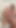 Belden Bağlamalı Deri Seksi Tulumumda Çok Sert Çift Delikli Mastürbasyon Yapıyorum
