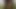 sri lankan wedding sex