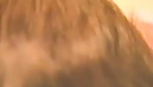 Erkek delisi sarışın yarak emiyor ve sonra sikiliyor