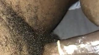 Uderzenie czarnego pisklęcia pieska