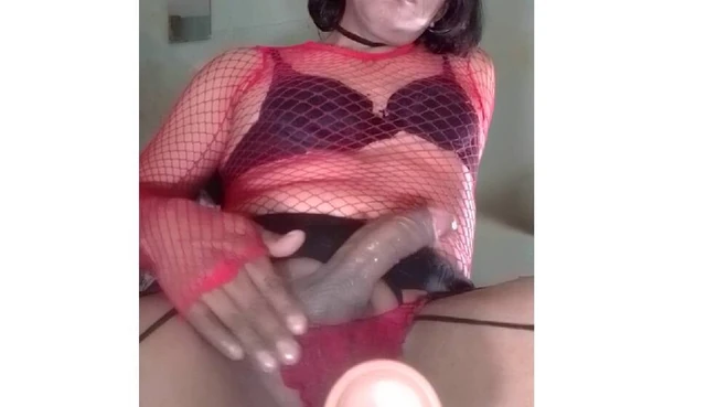 Shemale wants sex