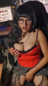 Pregled videozapisa