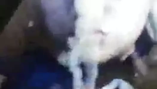 Cumblast üzerinde dik latina