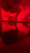 Pratinjau video