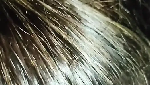 Arabada gezintiye çıktım ve onun yarağını emmek istedim
