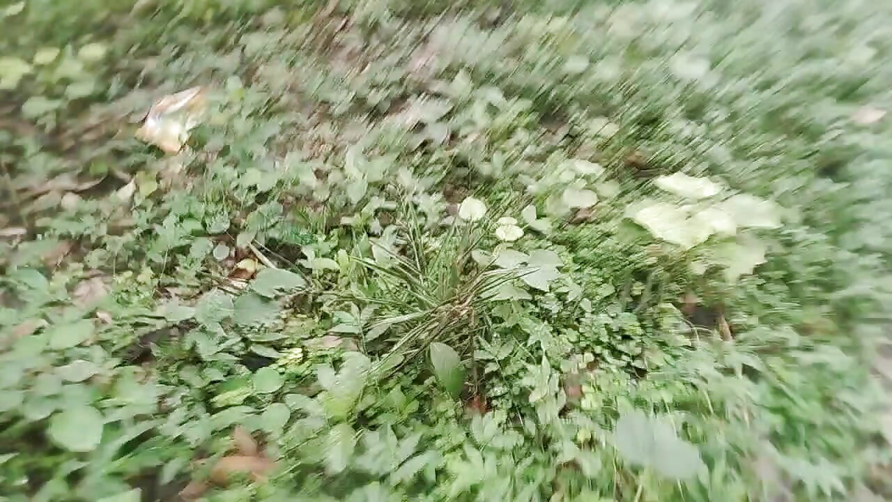 Desi gay tashjendar shemele forest handjob