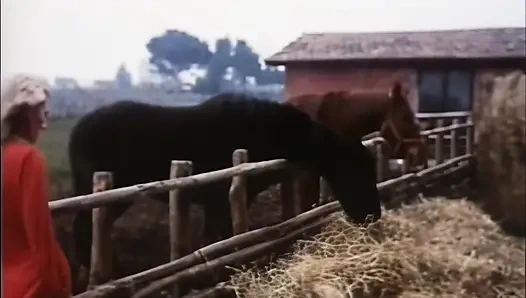 The Harlot Is Very Provocative