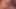 Travesti sürtüğün götünü kırıyorum